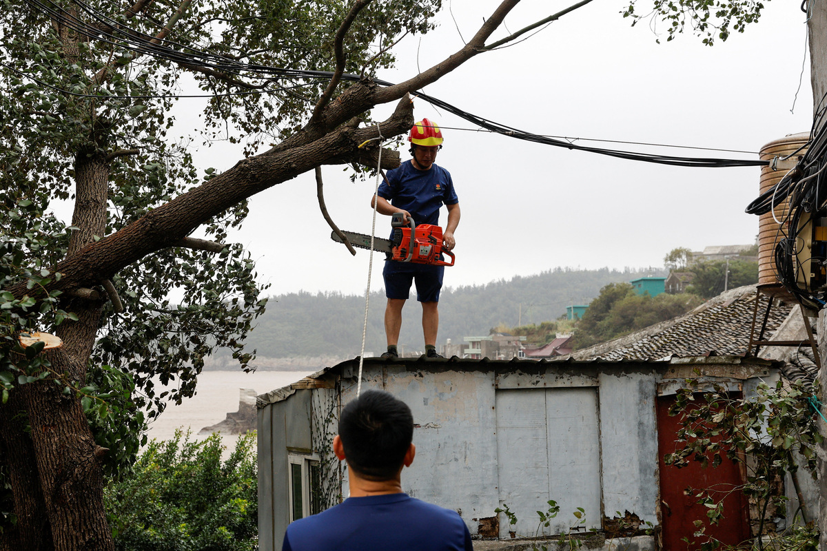 Workers attempt to cut down a tree branch interfering with power lines in the aftermath of Typhoon Bavi in the coastal village of Dongsha, Taizhou, Zhejiang province, China, July 12, 2026. REUTERS/Go Nakamura