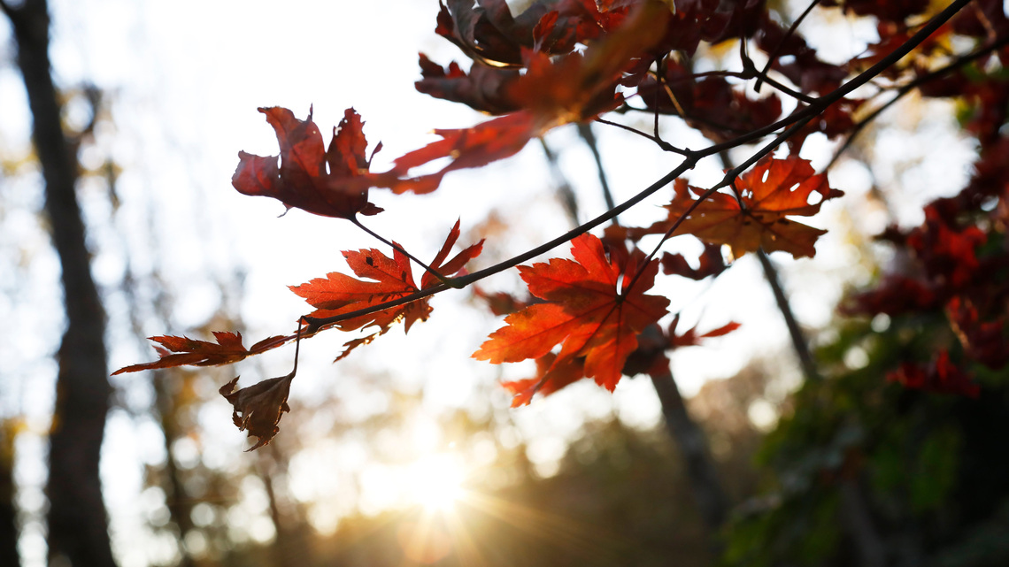 Where are the best spots to see fall colors near Atlanta? See our list 