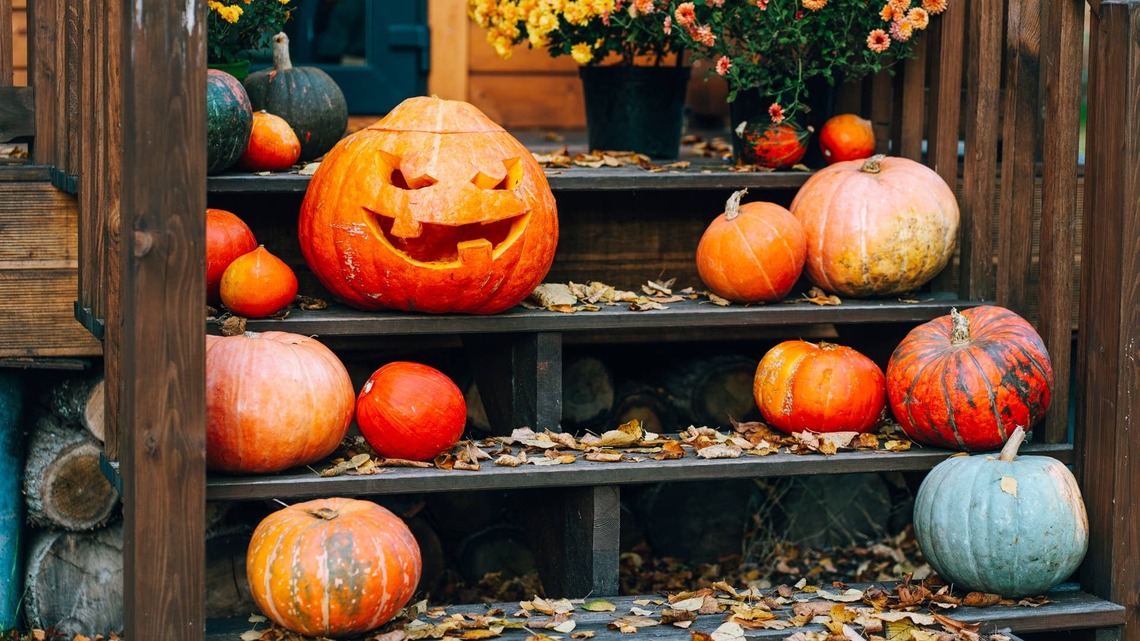 Can You Save Seeds From Your Halloween Pumpkins? What Garden Experts Say 