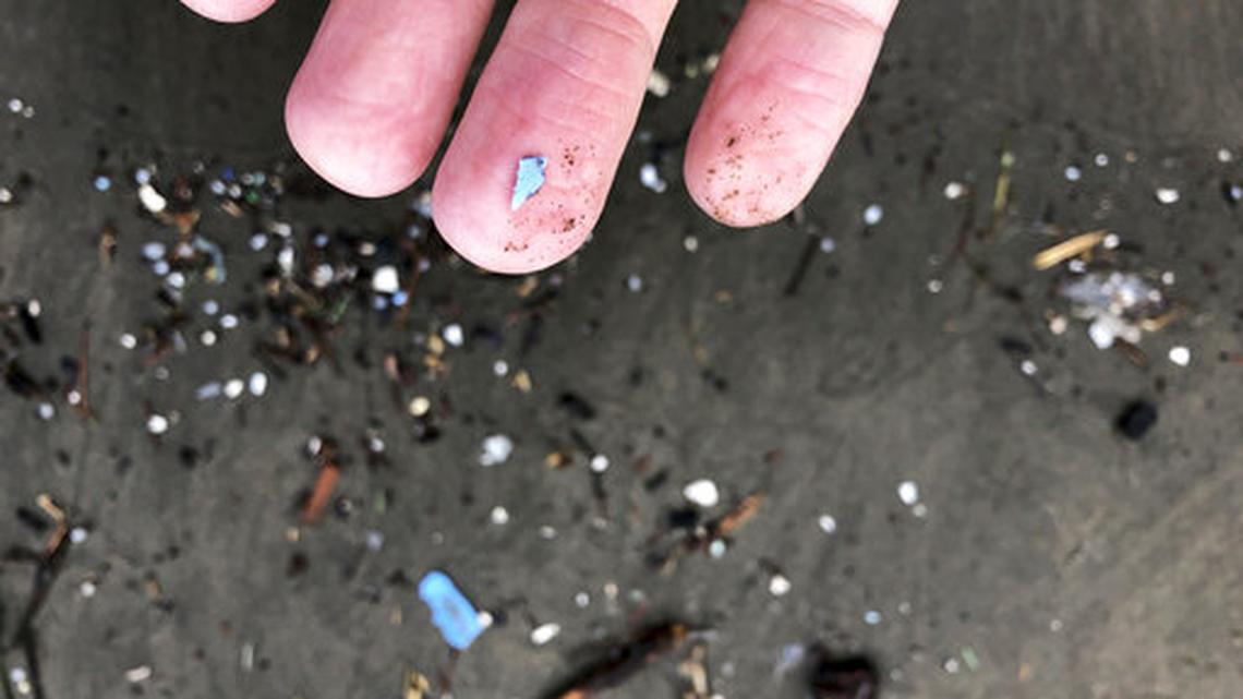 A new study has found that microplastics can latch onto the outer membranes — protective envelopes cells live in — of our red blood cells and stretch them out so much that it may affect their ability to transport oxygen throughout the body. 