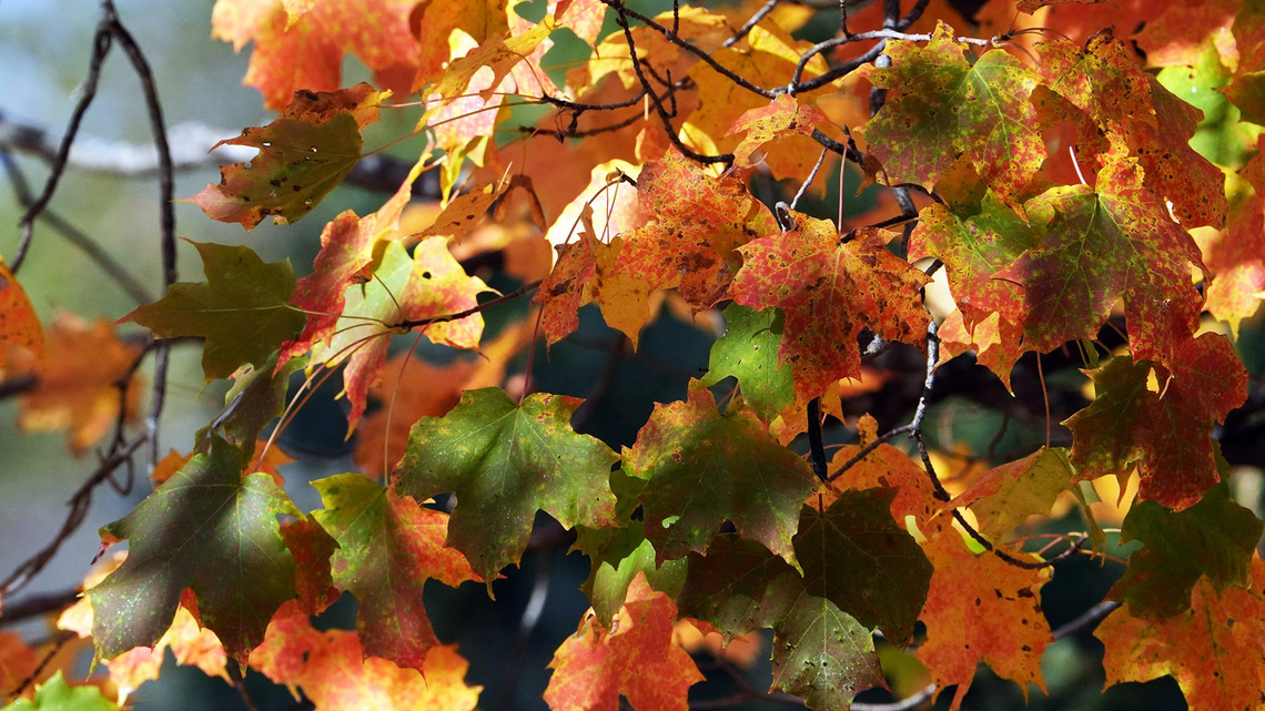 Today is the first day of fall, but the autumnal equinox happens late