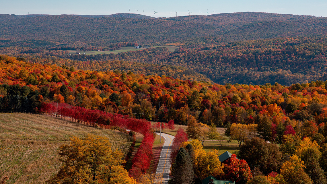 Top US viewing spot for fall colors only 1 hour away from Pittsburgh 