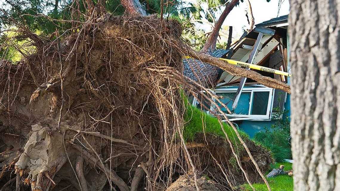 How insurance claims work for storm-damaged properties