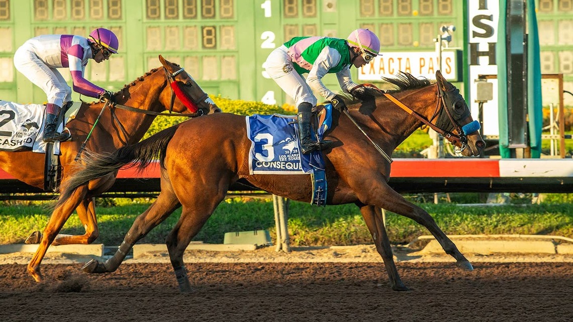 Grade 2 Winner Consequent Looks To Keep Perfect Record In Seneca Overnight 