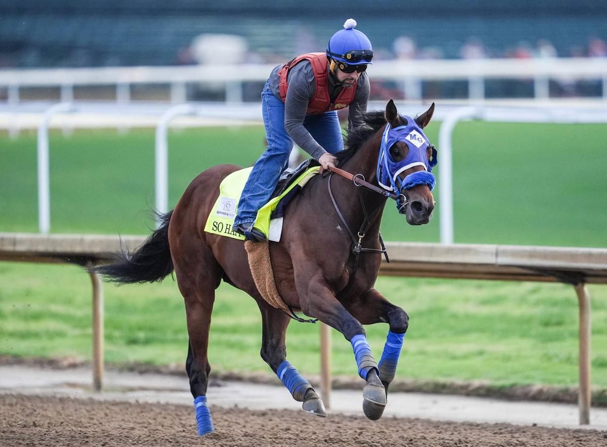  2026 Kentucky Derby contender So Happy works during a morning training session during Kentucky Derby week at Churchill Downs. Matt Stone/Courier Journal / USA TODAY NETWORK via Imagn Images