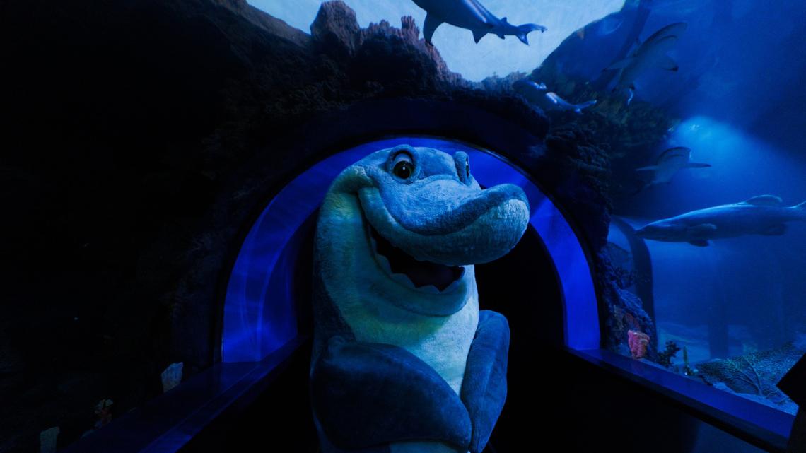 Sharks and beer: SeaWorld is giving the people what they want 