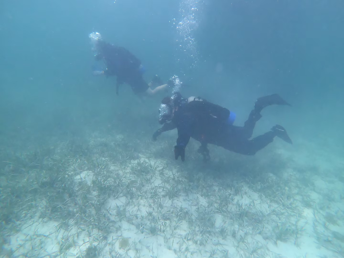 U.S. Coast Guard PRESS RELEASE/TNA