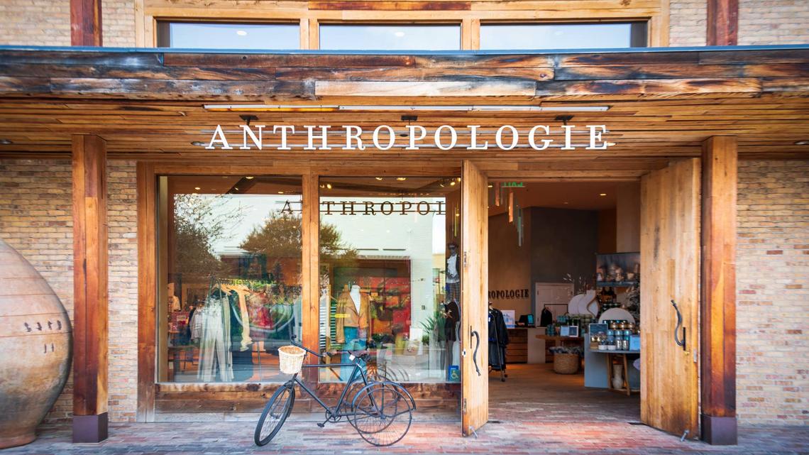 Anthropologie Made a Striped Rugby Sweater for Dogs, and the Price Just Got Even Better 