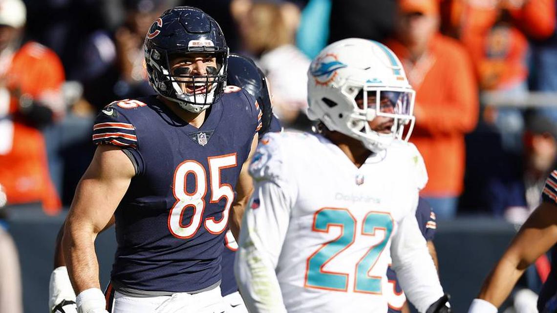 Examining These Ideas of the Dolphins Adding Kmet or Zamir White