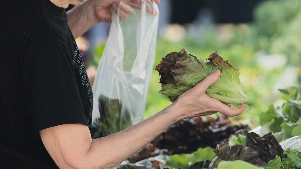 Is lettuce safe to eat now? What to know amid cyclospora outbreak