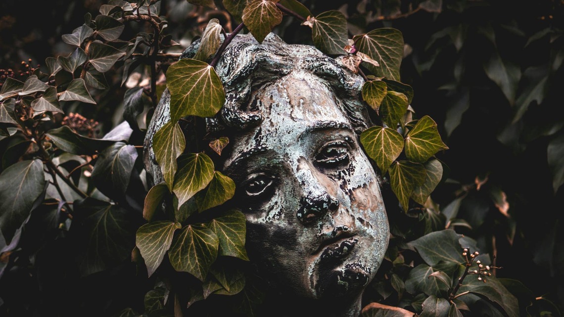 The 'Goth Garden' Trend Is Everywhere-9 Dark Plants to Try Right Now 