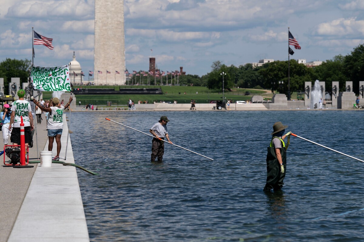  Members of the National Park Service uses a vacuum like device to remove algae from the Lincoln Memorial Reflecting Pool, on the National Mall Friday, June 19, 2026, in Washington. (AP Photo/Jose Luis Magana) 