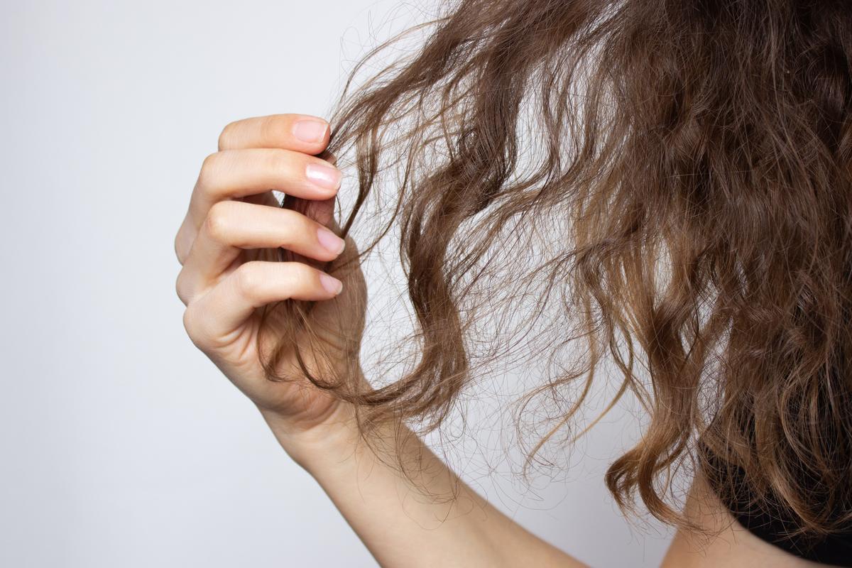  Stock image: a woman holds her tangled dry hair in her hand. 