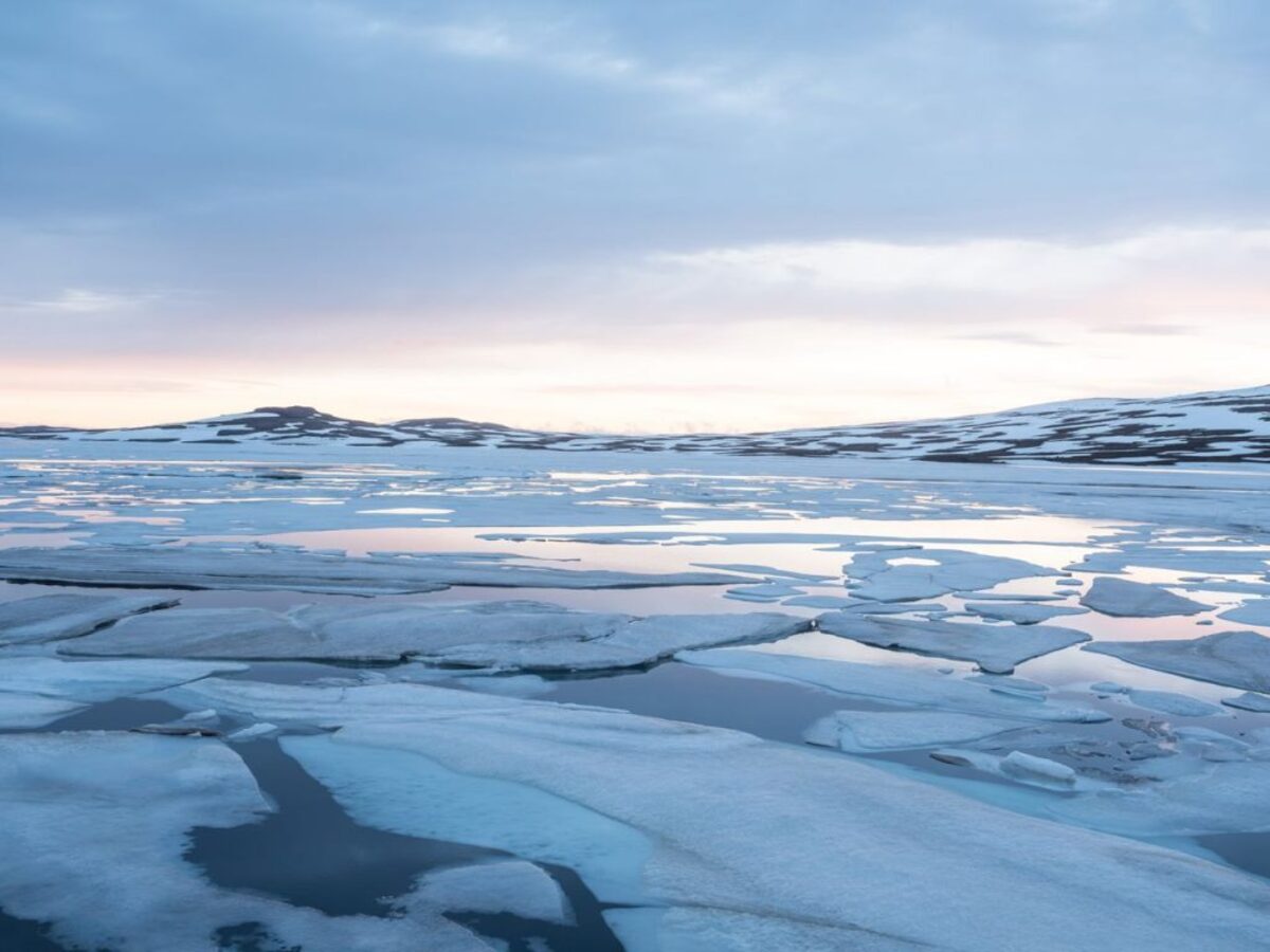  (Photo by ArtHouse Studio via Pexels) 