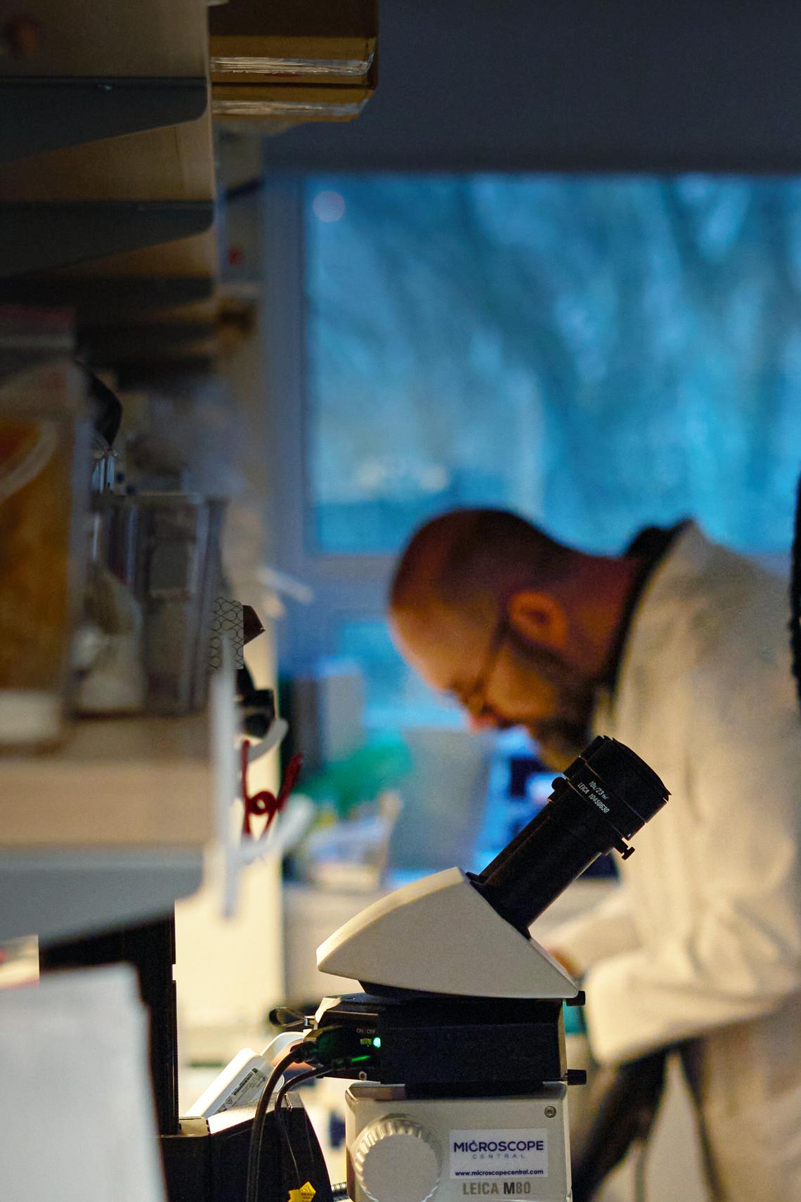 An undated image by Marco Figueroa/Neion Bio of Eugene Zolotarov, left, and Esther Oluwagbenga working at the biotech start-up. Neion Bio is testing a novel way of efficiently producing pharmaceuticals by turning chicken eggs into drug factories -- genetically engineering birds to produce medical compounds. (Marco Figueroa/Neion Bio via The New York Times) -- NO SALES; FOR EDITORIAL USE ONLY WITH SCI DRUGS FROM EGGS BY CARL ZIMMER FOR APRIL 20, 2026. ALL OTHER USE PROHIBITED --
