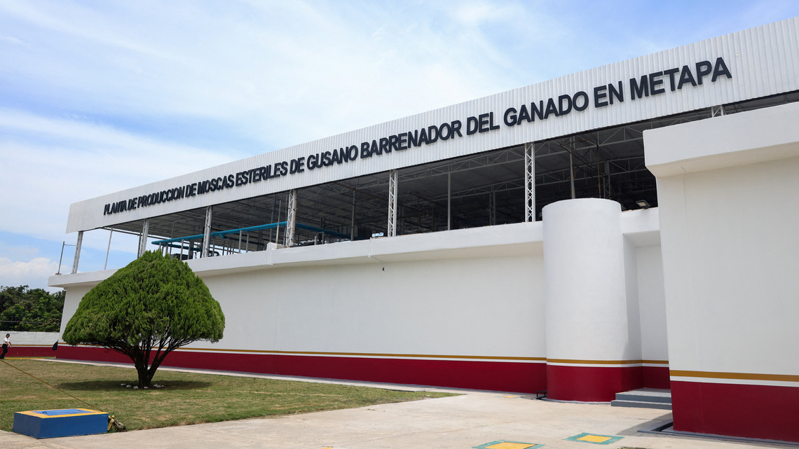 US, Mexico inaugurate sterile fly plant in Chiapas in cross-border screwworm fight 