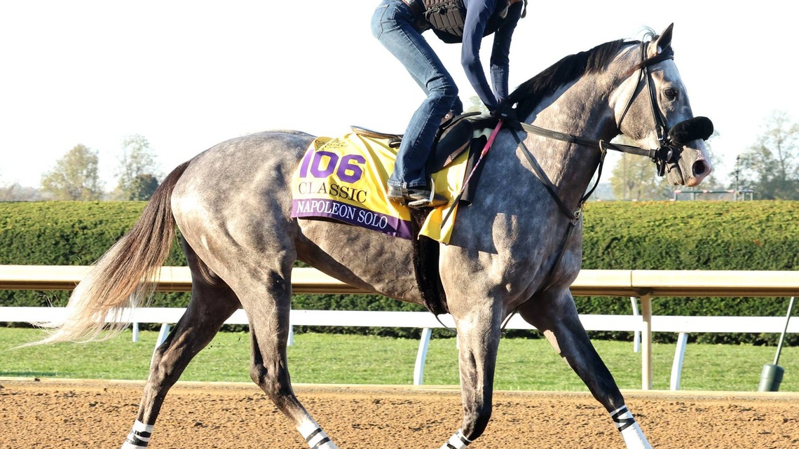 Exercise Rider Emily Ellingwood Perfect Fit for Classic Contender Napoleon Solo 