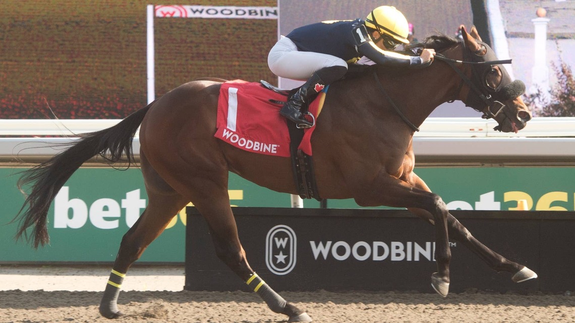 ‘He Brings His A-Game Every Time': Souper Survivor Looks For Second Consecutive Stakes Win In Frost King 