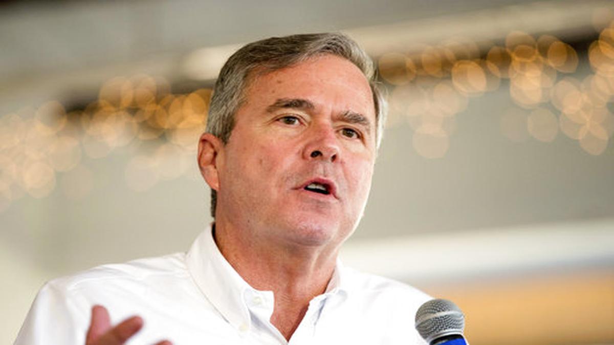 Jeb Bush
