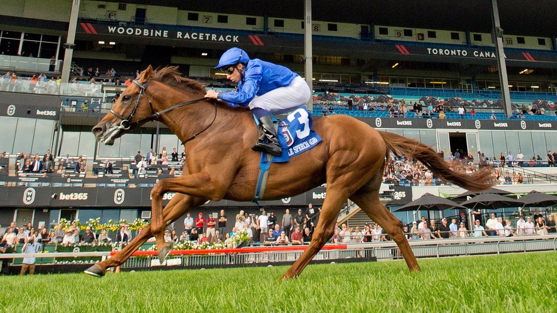 Woodbine's Turf Champions Day Generates Record $14 Million Handle 