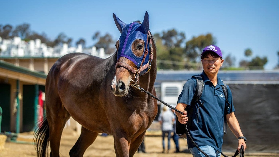 Finger In ‘Excellent Condition' For U.S. Debut In Pacific Classic 