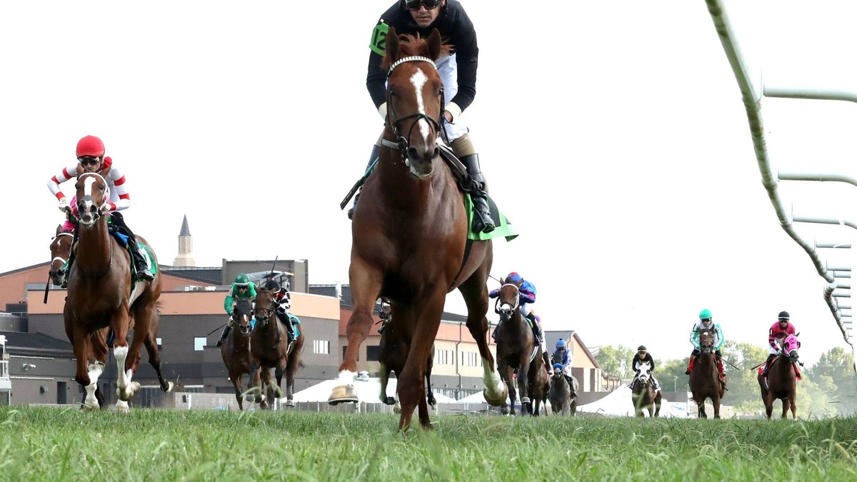 How's Al Today Successful On Short Rest In Kentucky Downs Juvenile Mile