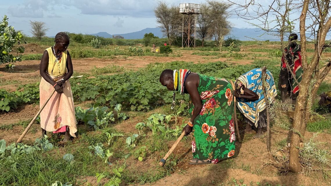 Battling drought: How Kenyan communities are restoring degraded land 