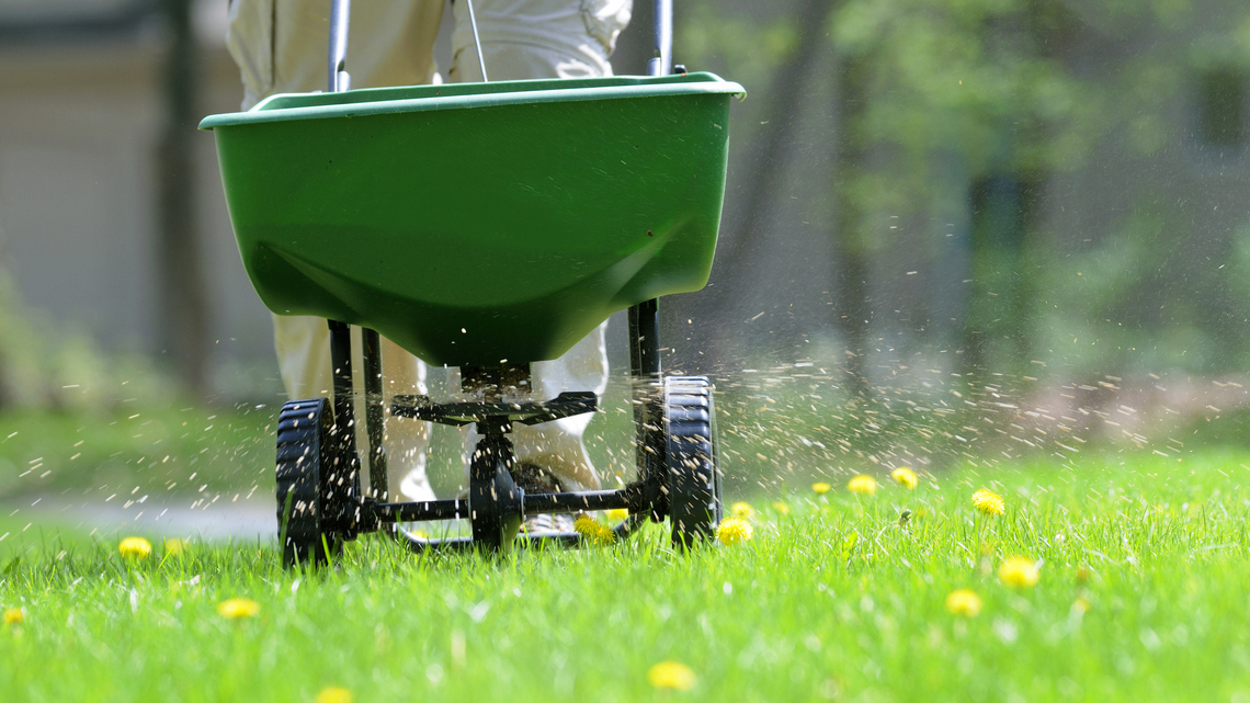 Get a 10-Pound Bag of Scotts Turf Builder WinterGuard Fall Lawn Food for Over Half Off 