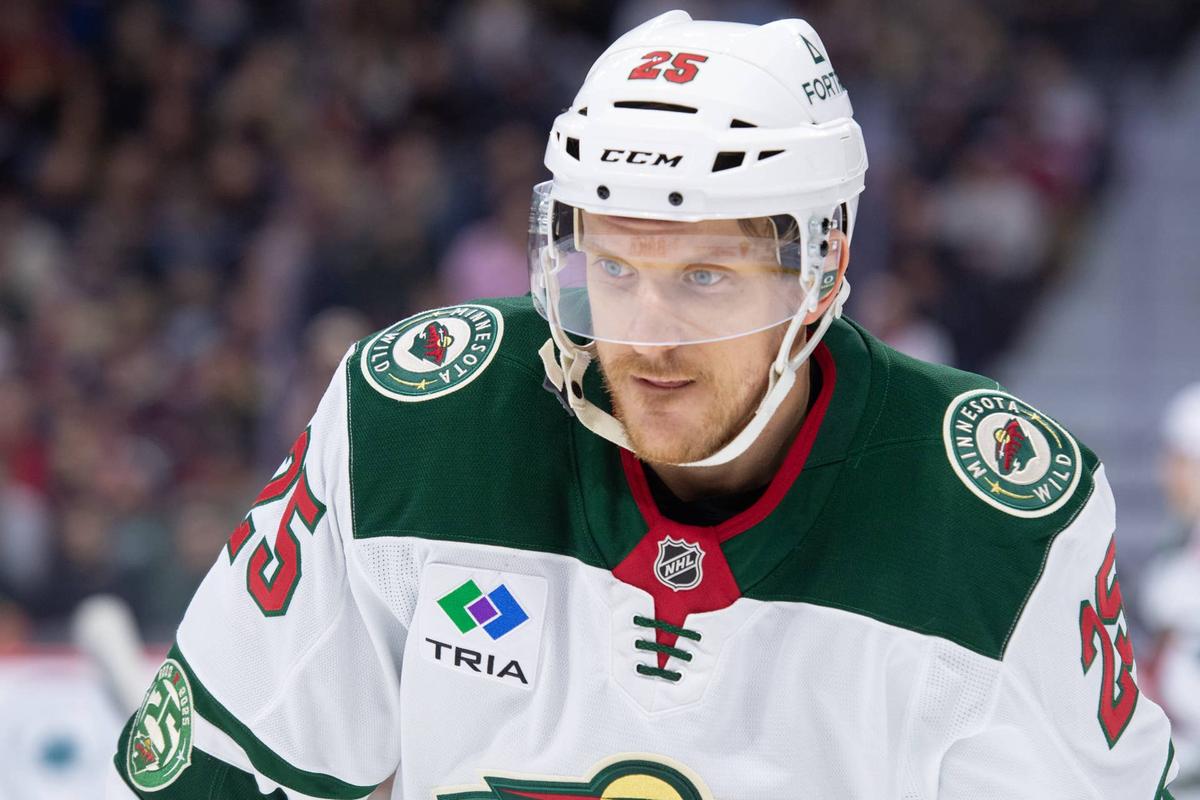  Minnesota Wild defenseman Jonas Brodin (25) during a stoppage in play. Marc DesRosiers-IMAGN Images