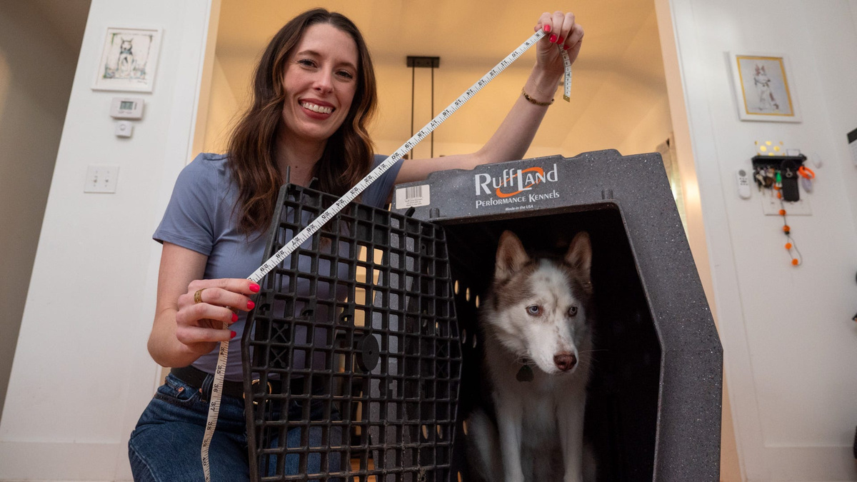 How to find the right size crate for your dog.