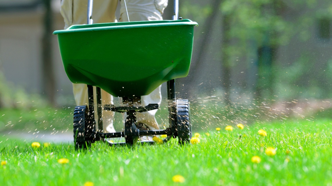 Should You Fertilize Your Lawn in Summer? Experts Say Yes-But Only If You Do This 