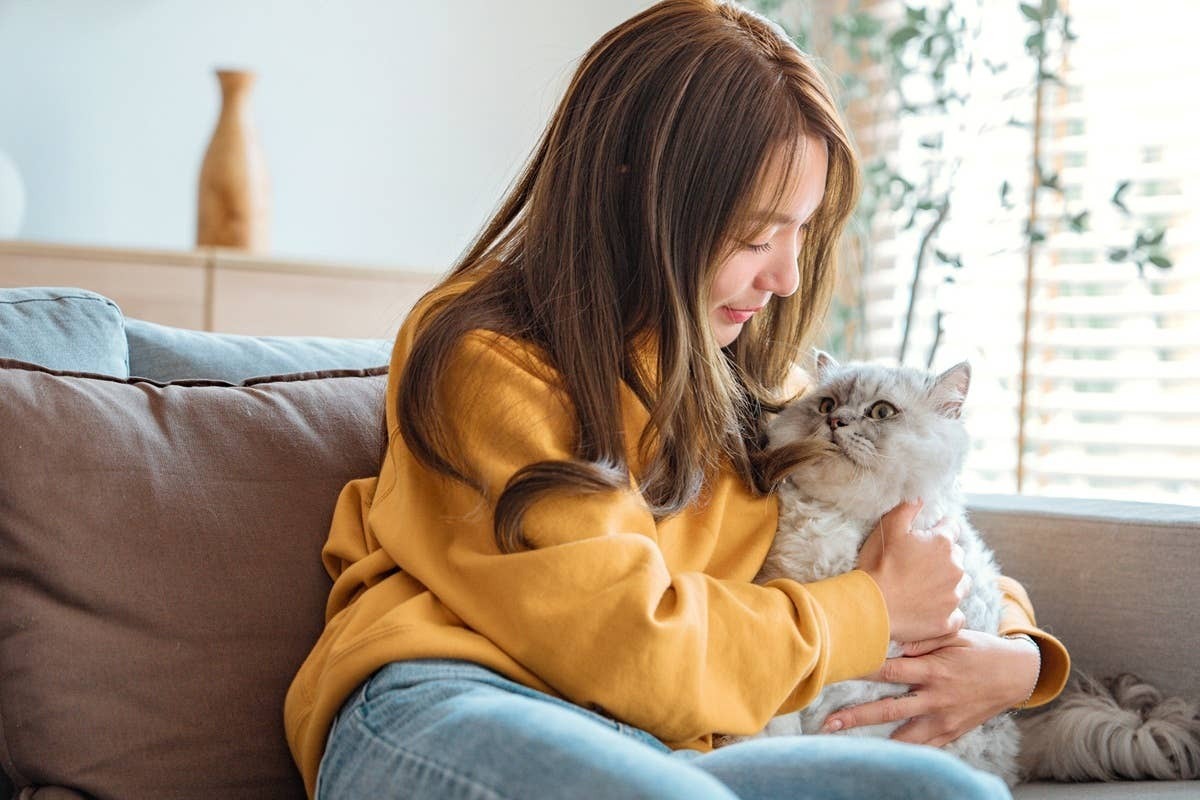  An affectonate cat who knows its pet parent needs extra love.