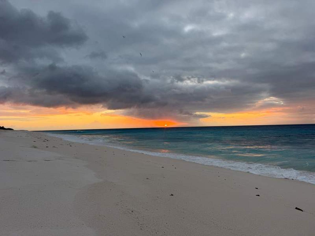  Pristine beaches all to yourself is a real highlight of Christmas Island. Photo credit: Kinga Philipps 