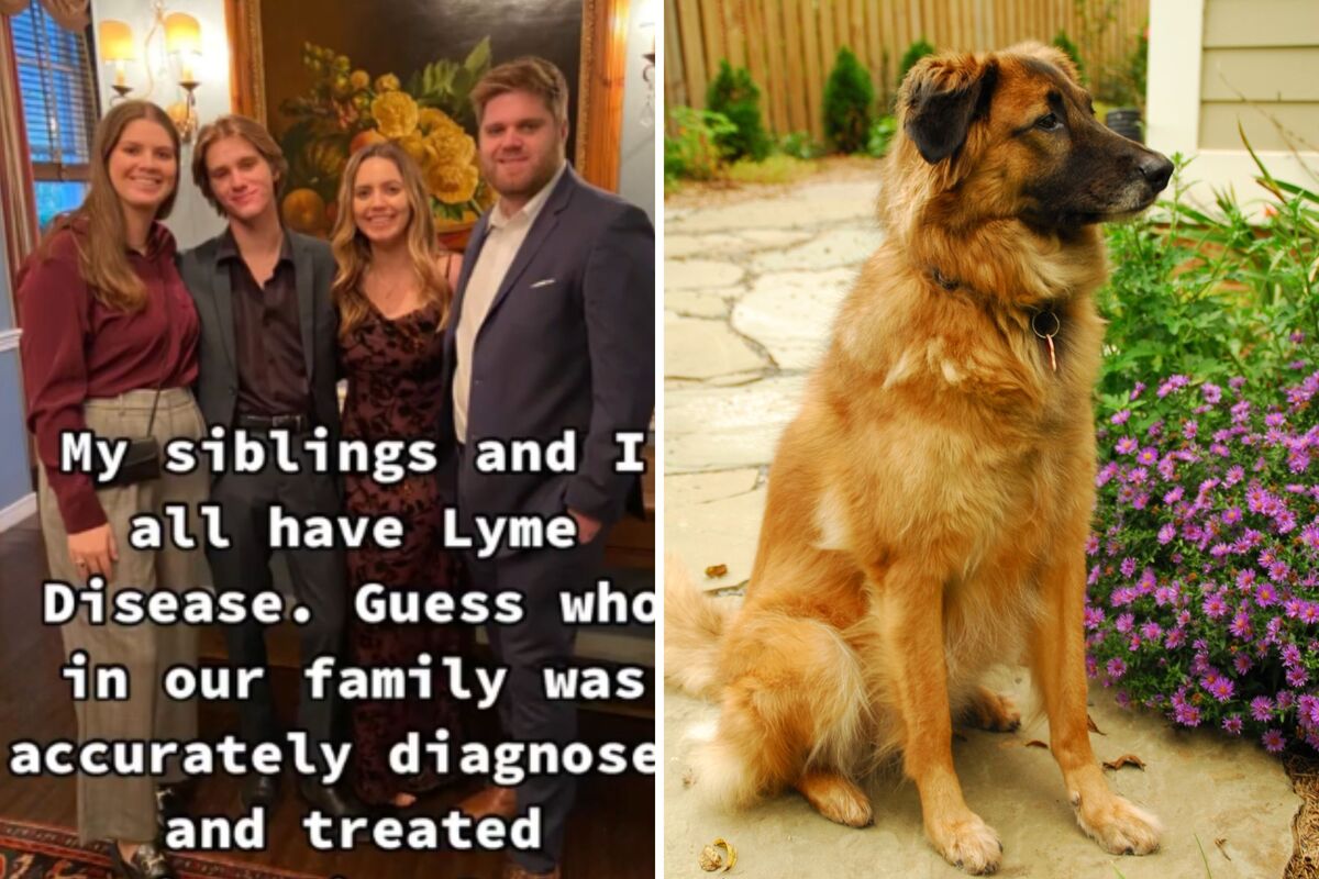  The four siblings (left) and the family’s dog (right), all of whom received the same diagnosis for Lyme disease, are seen in portraits. 