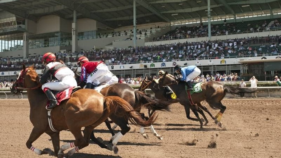 Los Alamitos Launches Los Al 123 Thoroughbred Challenge 