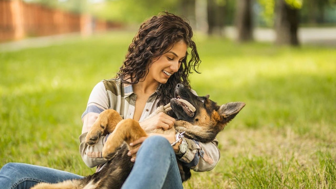 7 Loyal Dog Breeds That See Their Family as Their Pack, According to Trainers 