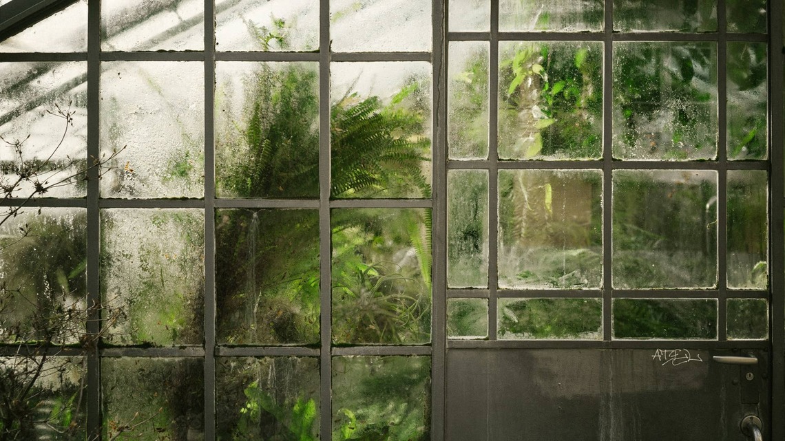 Woman's Genius IKEA Mini Greenhouse Upgrade Is Easy, Practical, and Beautiful 