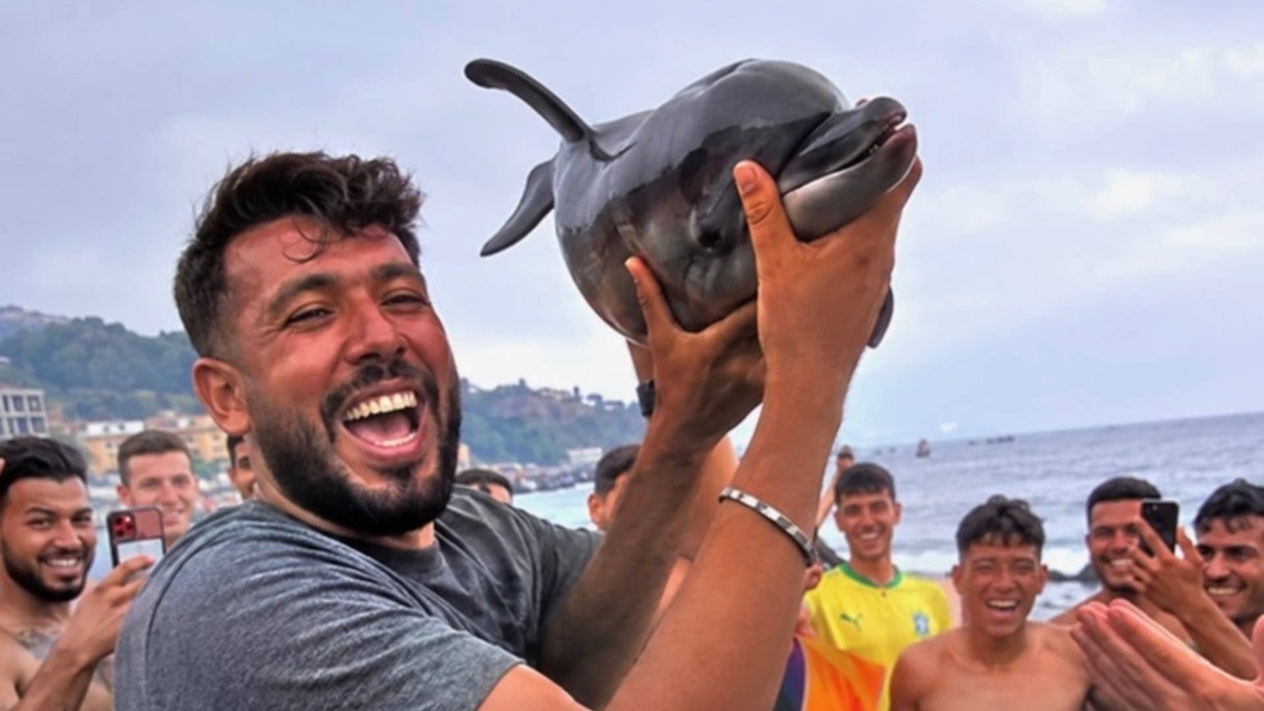Baby Dolphin Allegedly Beaten to Death by Migrant Men in Ceuta, Spain (Graphic Video) 
