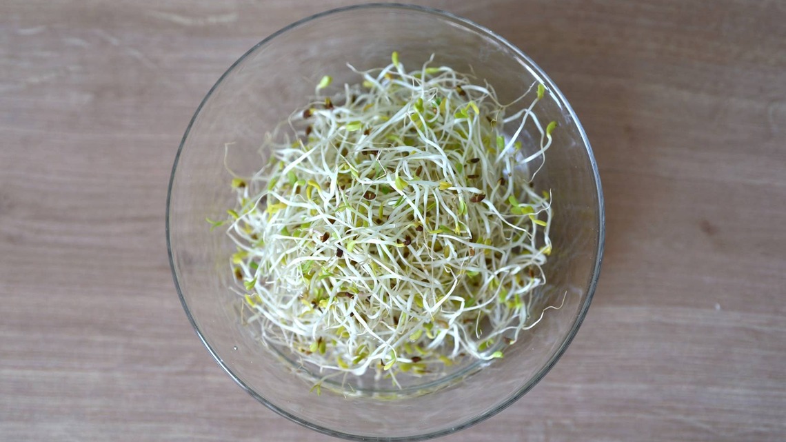 Alfalfa Sprouting Seeds Sold in 44 States Are Recalled for E. Coli and Salmonella. Don't Sprout Them, Plant Them, or Give Them Away 