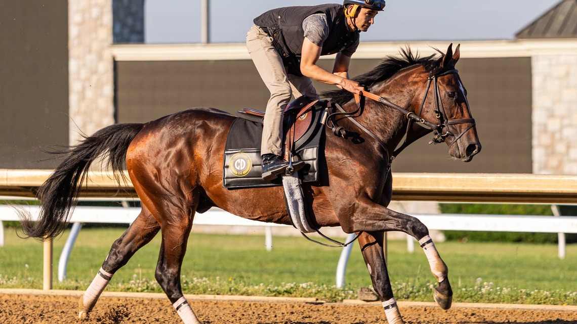 Dual Classic Winner Golden Tempo Will Train Up To Breeders' Cup Classic 