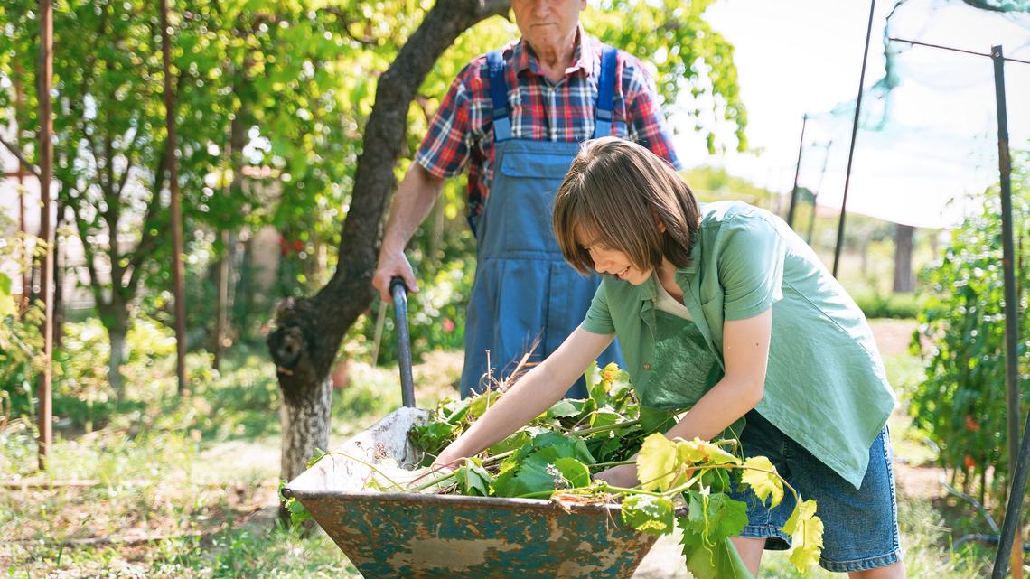 Ace's Hardware Is Offering Spring Savings for Yard Prep Essentials-Shop Our Top Picks 