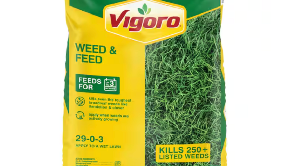 Lawn Experts Say These Are the Best Weed and Feed Products for Dandelions, Crabgrass, Clover, and More 