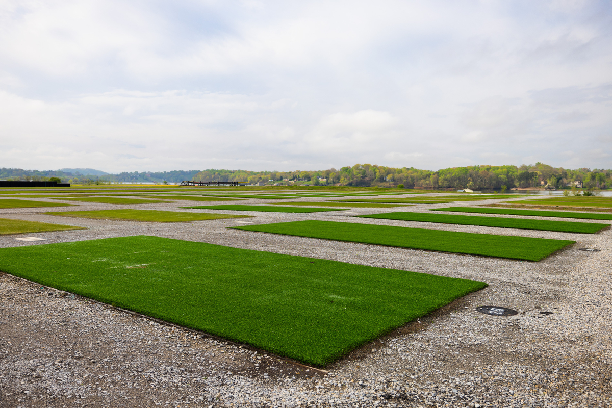 In an image provided by the University of Tennessee, plots of various sod recipes. Every World Cup match must be played on natural grass that gives players as consistent a surface as possible, no matter the venue. Cue the years of sod studies. (Steven Bridges/University of Tennessee via The New York Times) -- NO SALES; FOR EDITORIAL USE ONLY WITH NYT STORY WORLD CUP GRASS by BURDICK of JUNE 16, 2026. ALL OTHER USE PROHIBITED --
