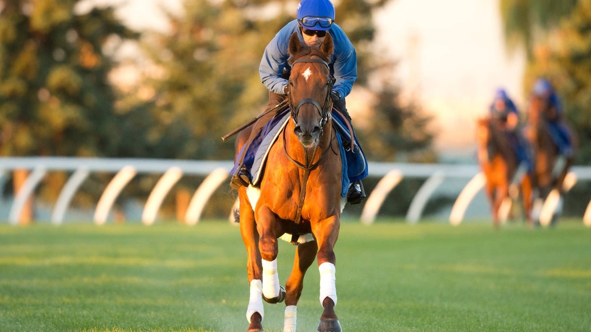 Champion Notable Speech Aims To Defend Woodbine Mile Title