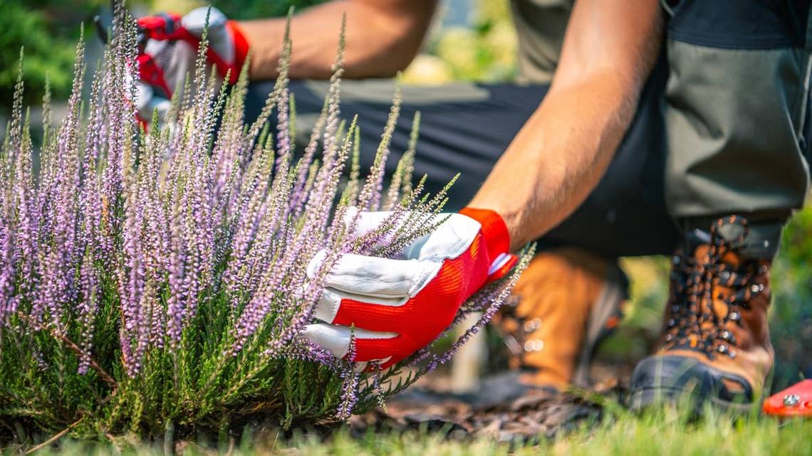 ‘Maycember Madness' Is Kicking Off Soon-These Are the Month's Biggest Home Projects, According to Yelp 