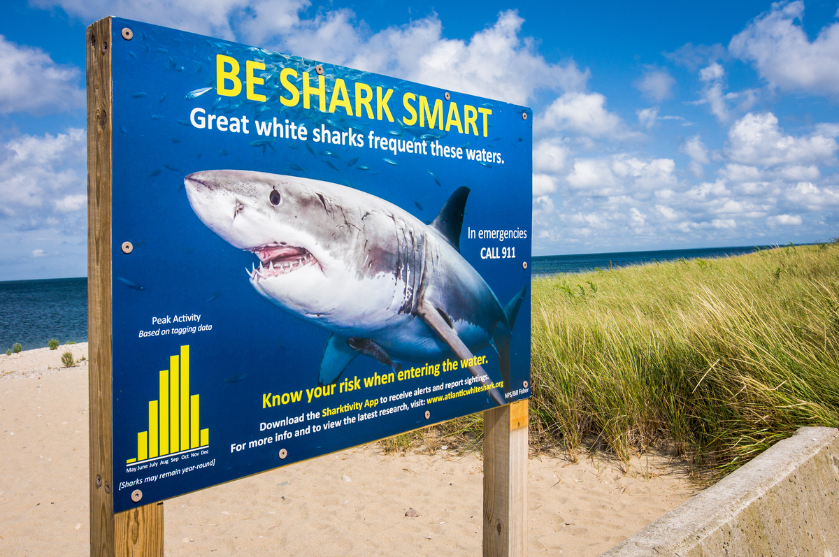  A shark advisory sign in Sandwich, Massachusetts, on September 4, 2019. 