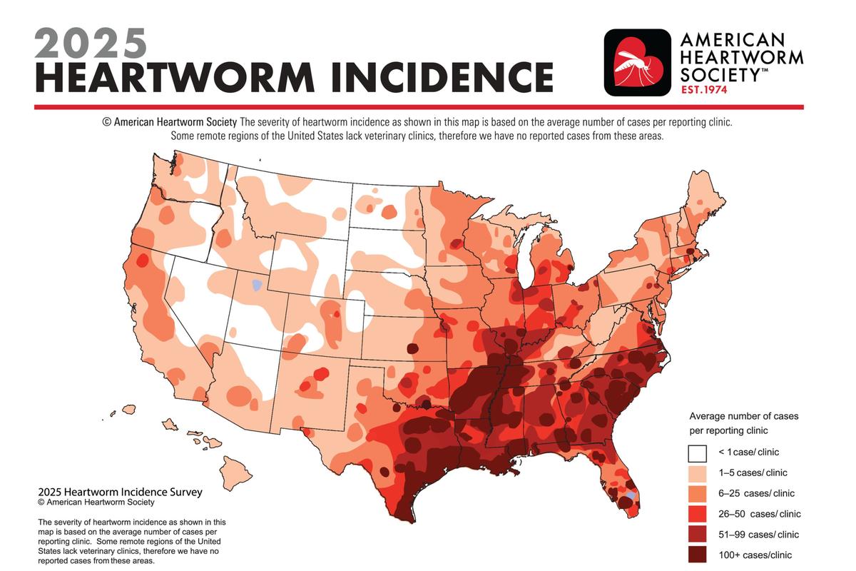  A map of the United States showing areas with the highest reported cases of heartworm disease in dogs. 