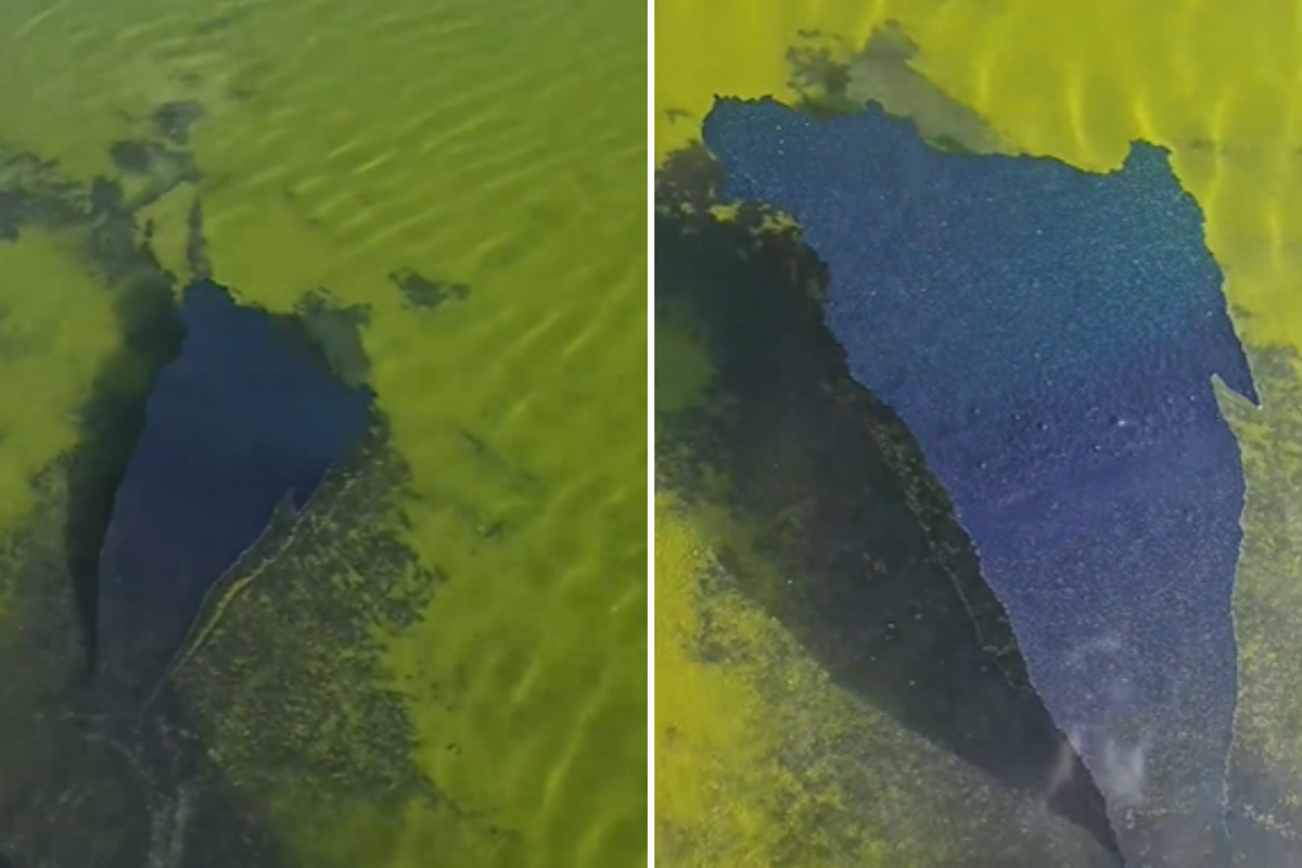  Pictures of the Lincoln Reflecting Pool coating peeling. 