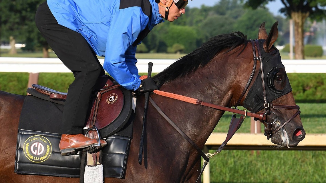 'Happy With Where He's At': Golden Tempo Has Final Work For Travers 