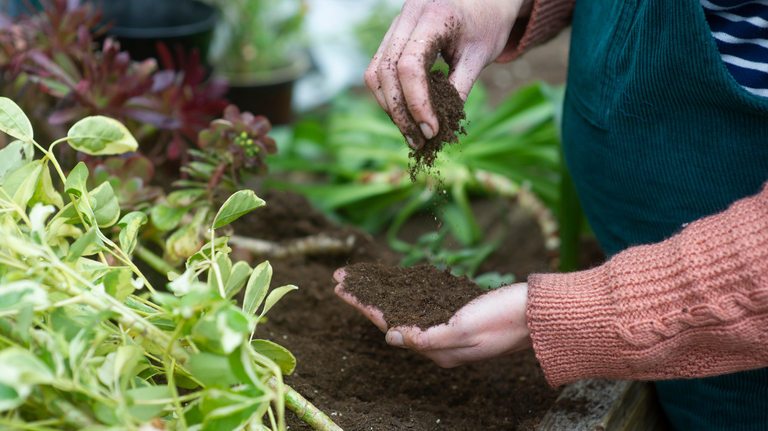 Lose Weight, Sleep Soundly + Stress Less With These ‘Nature Prescriptions’